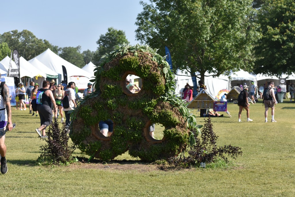 Bonnaroo 2024 hedge art