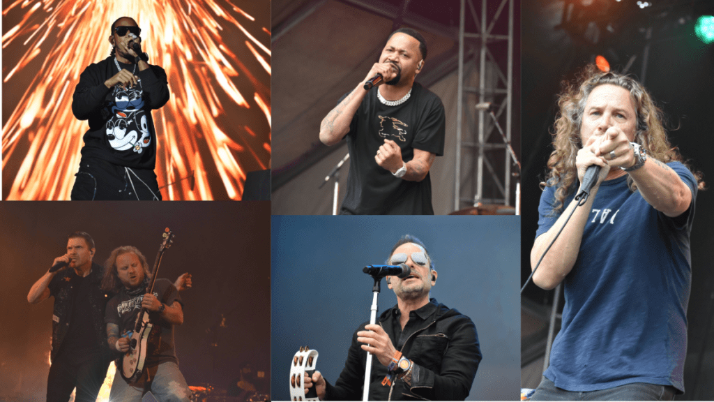 South Star Music Festival Collage of Artists