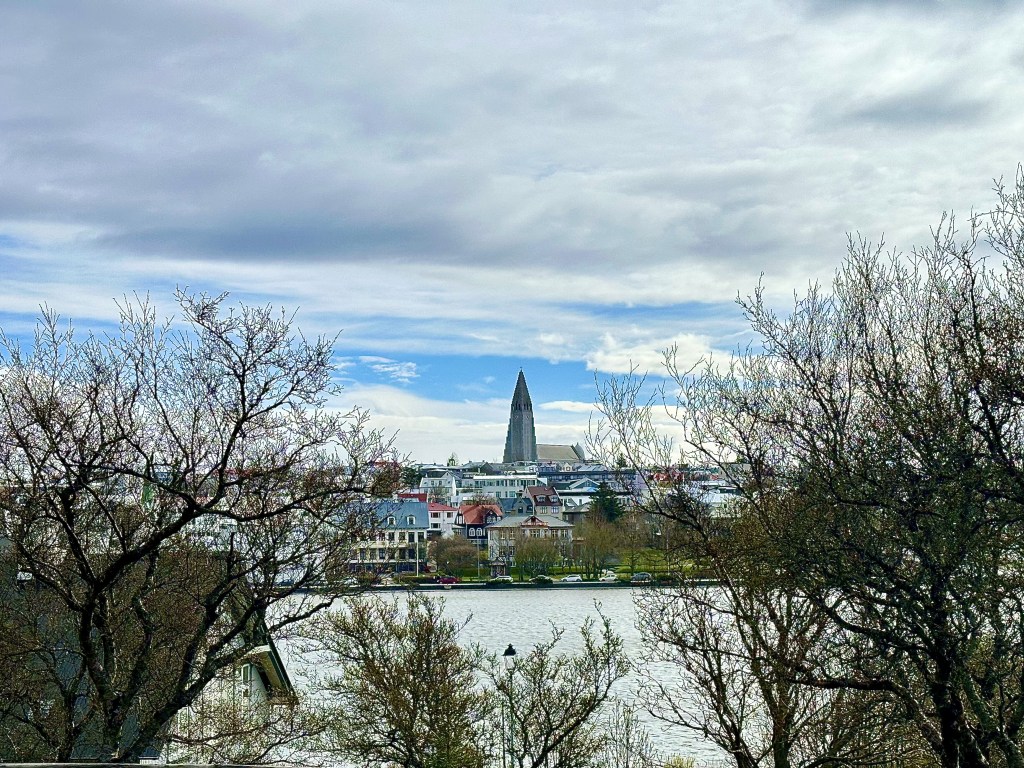 Reykjavík from Hólavallagarður Cemetery
