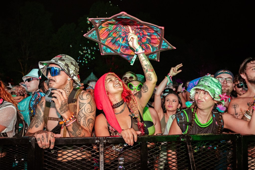 Deep Tropics crowd provided by festival