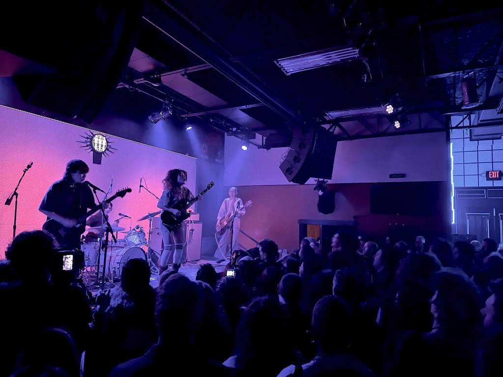 Crowd watching Die Spitz perform at The Blue Room