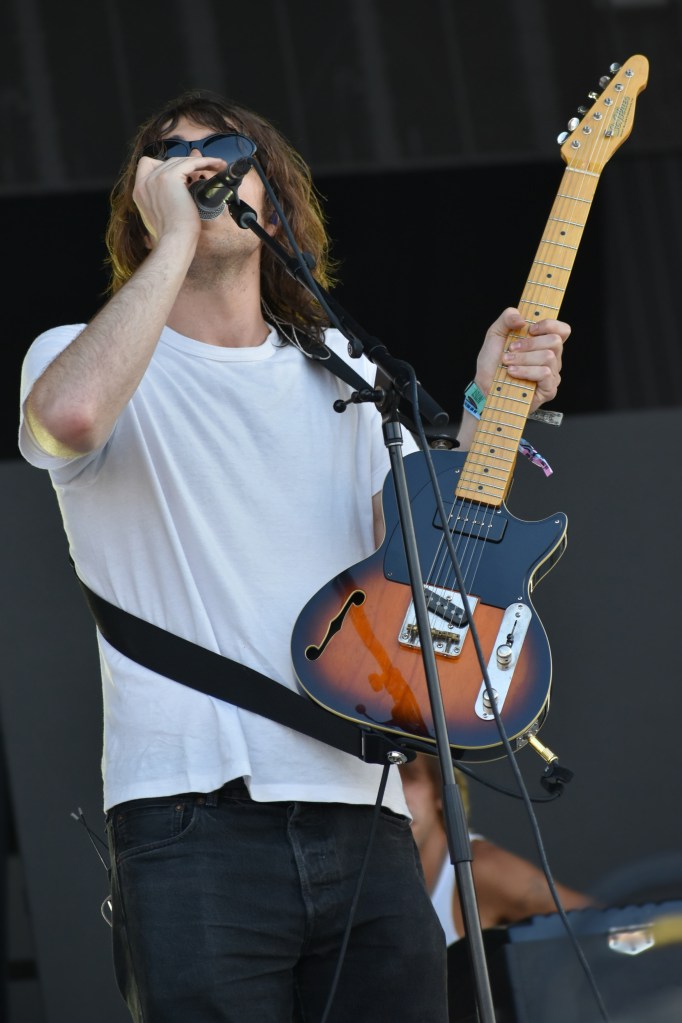 Geese at Hinterland 2026
